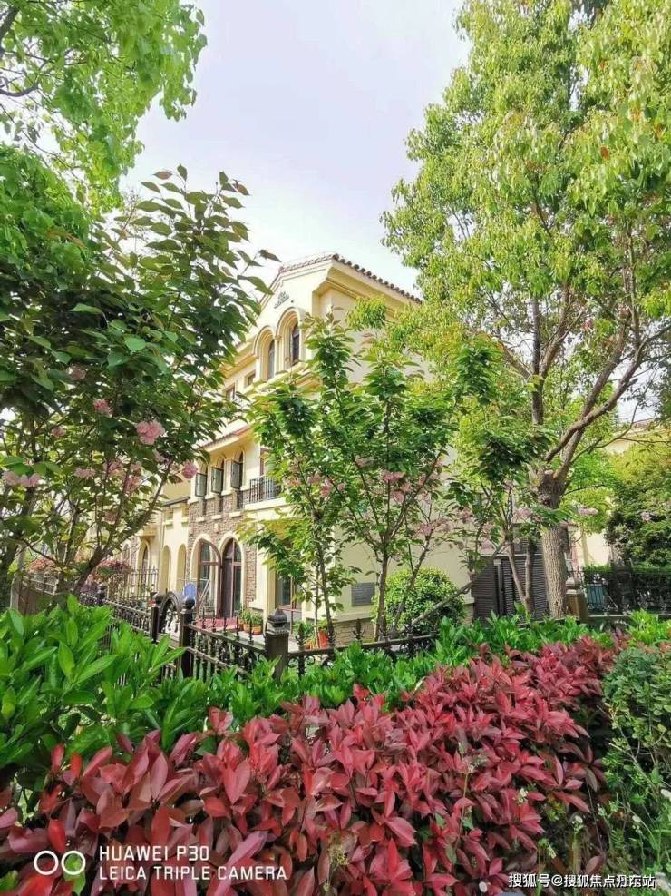 西晶明园(上海青浦·西晶明园)首页网站丨西晶明园楼盘详情-价格-户型