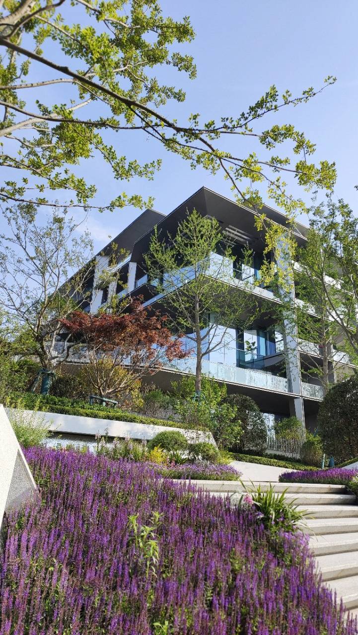 西安【绿城清水湾】→价值分析→楼盘动态→学校→优惠信息