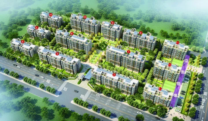 因为我们有优势 01 公交环顾