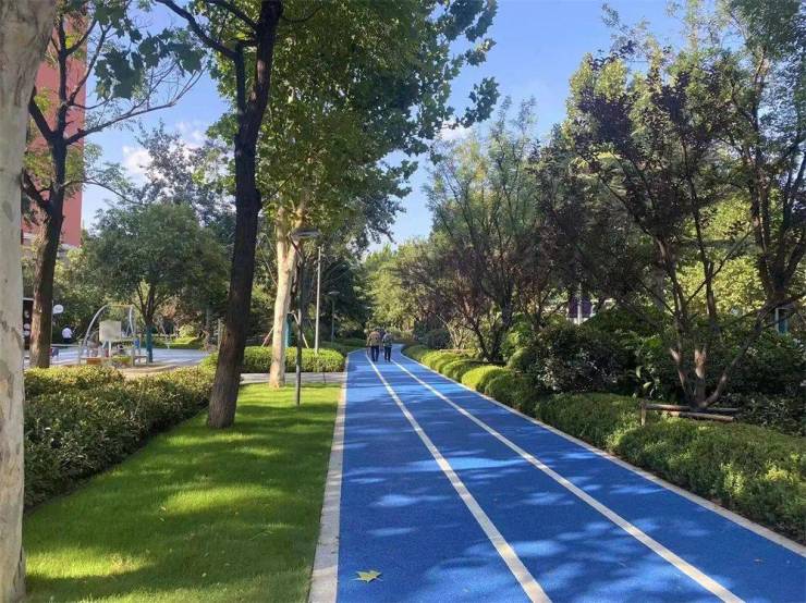 全省样板!市住房城乡建设局十个一工作开云体育 开云平台法打造西五路绿化提升工程获好评(图4)