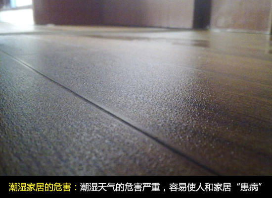 家中空气潮湿惹人烦家居防潮防霉方法大搜罗
