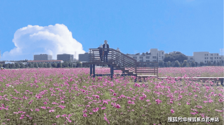 售楼处电话|楼盘详情 | 容积率-苏州搜狐焦点