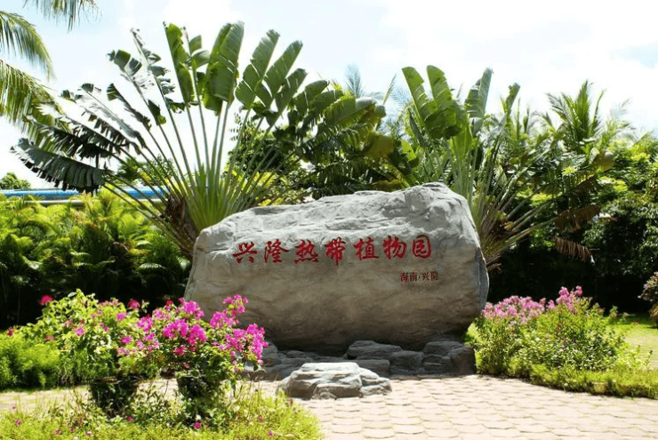 万宁百花谷可可树售楼部电话_最新价格︱百花谷可可树欢迎你-户型优缺点-2026房价-最新户型(图4)