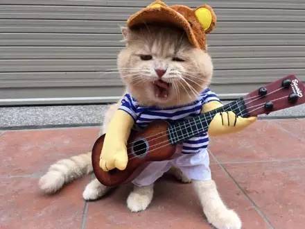 天地之间还有真爱心若在梦就在如今流落到街头卖唱了昔日帝王帅炸了