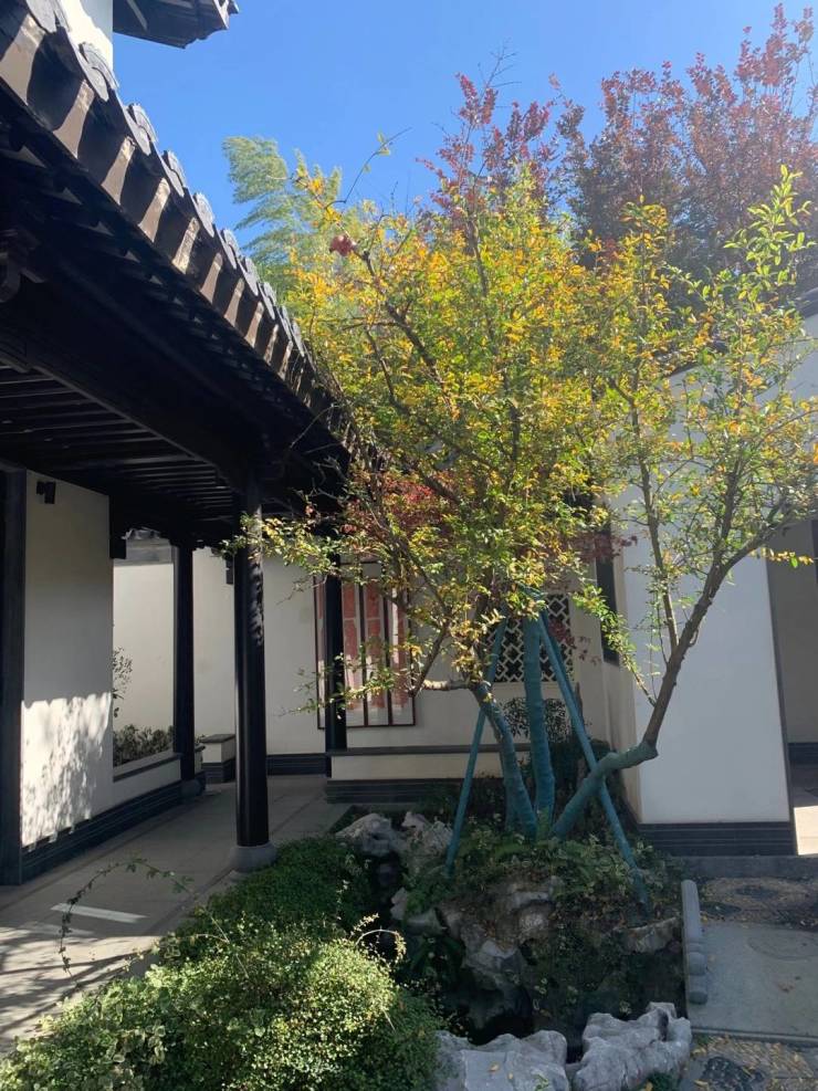 天然居文化坞售楼处电话→售楼中心首页网站→楼盘百科详情→24小时