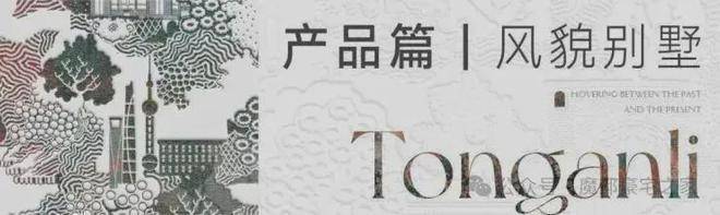 桐安里(售楼处)官网-桐安里售楼中心电话-环境-户型-价格-地址-楼盘详情-配套-电话-交房时间-配套-交房时间(图11)