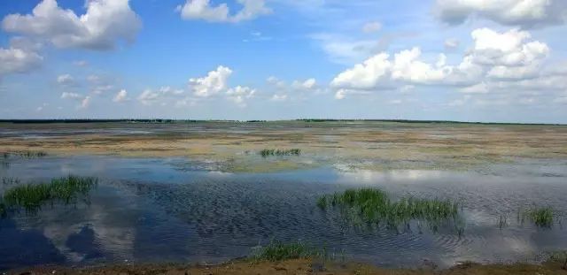 水庫建有漁場,盛產鯉魚,鰱魚,草魚等魚類, 天然養殖,產魚肥美,遠近