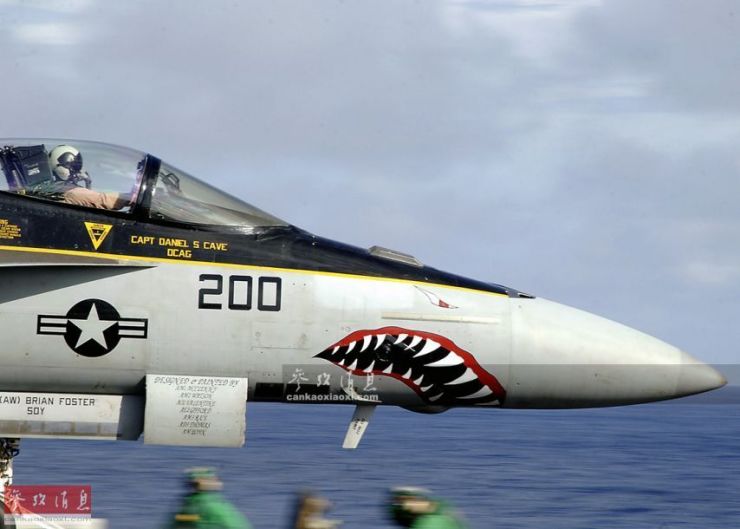 美国鲨鱼战斗机图片