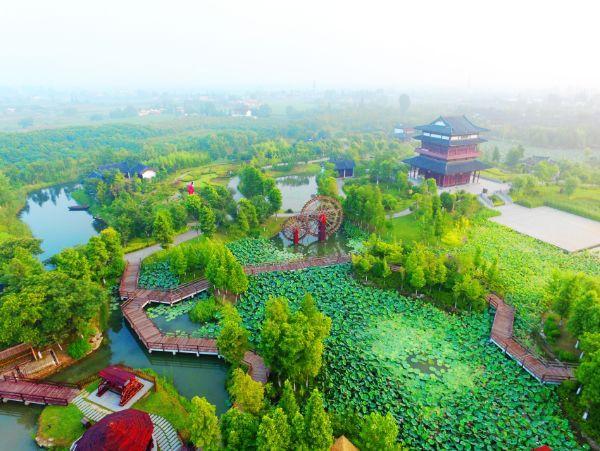 鹤影里大地乡居·鹤影里座落于黄海之滨——黄尖丹顶鹤风情小镇腹地