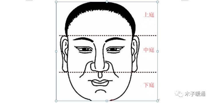 由眉毛到鼻准头部位叫"中庭(中停.