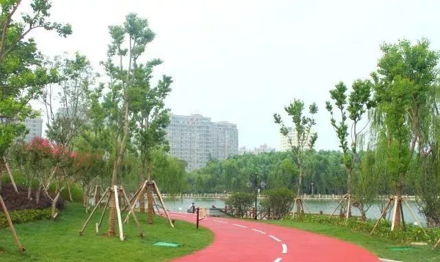 沭阳城北公园改造图片