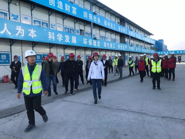 北京市住建委副巡视员王鑫一行调研中建八局中科院物理所装置项目