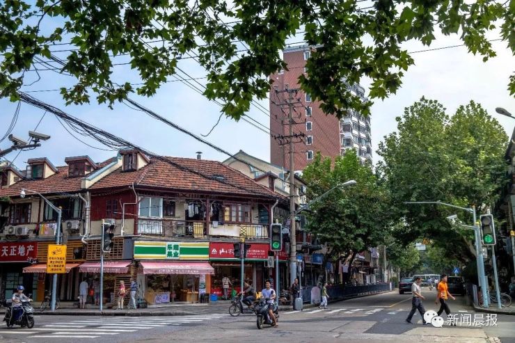 永嘉路:成片的梧桐树里,有你想过的生活-上海搜