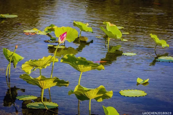 个人出售名下不动产涉税处理详解