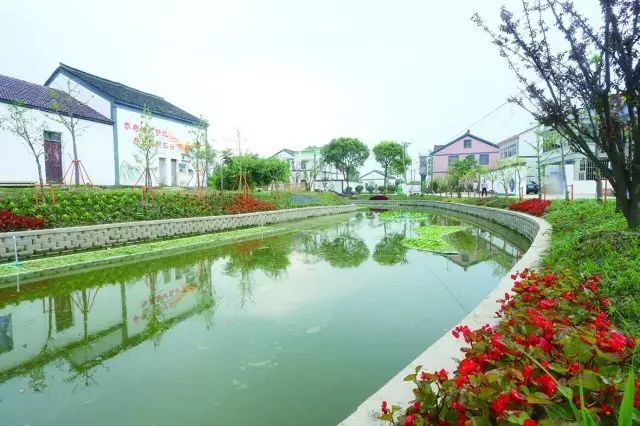 城乡练市镇在全区首创农房集聚拆旧项目联合验收制度