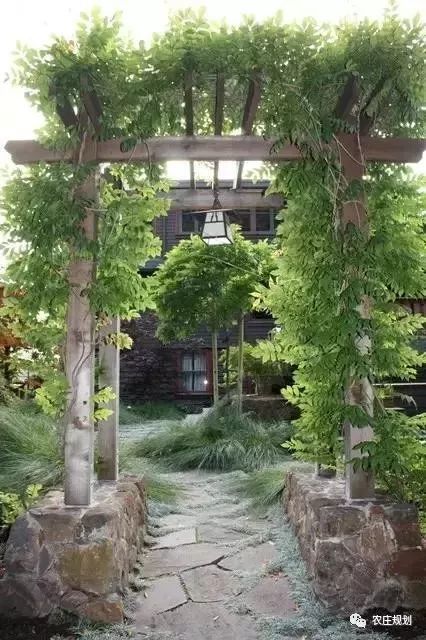 自制竹子爬藤架图片