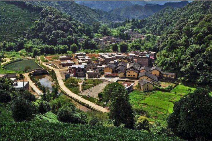 专辑| 《利用集体建设用地建设租赁住房试点方