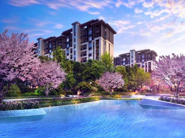 这五个楼盘仍在摇号登记!5100-12335元\/㎡