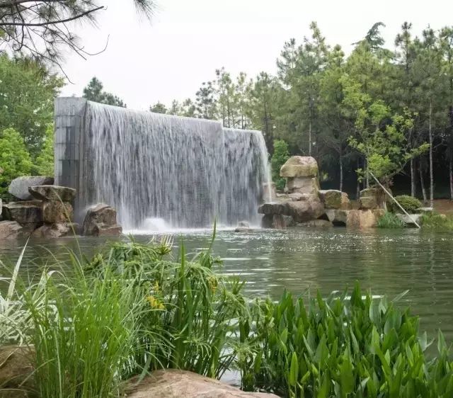 环沪城市房价都在涨 为啥这么多人还不放弃太