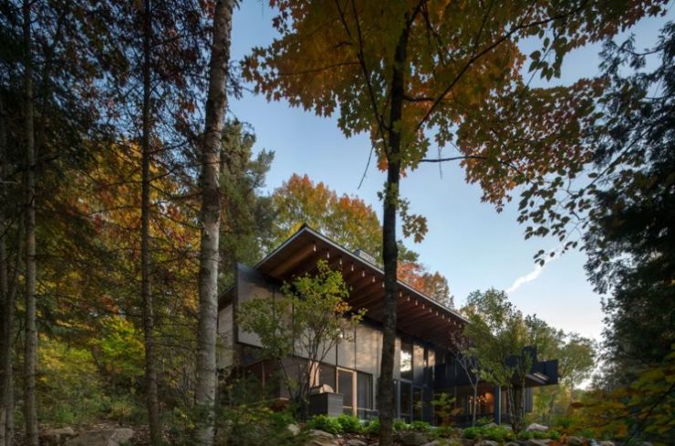 这5个林中别墅凭什么获得aia住宅设计大奖